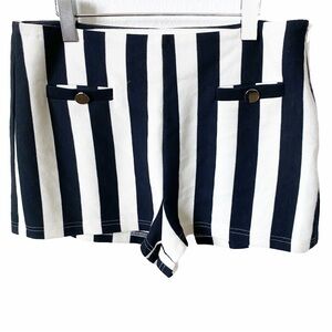 The Sang, Vertical Stripe Flat Front High Waisted Shorts